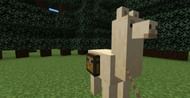 Image via Minecraft